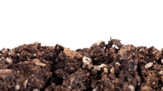 “毒土壤”有哪些重金屬，會帶來什么危害？來看一篇國際期刊論文總結(jié)