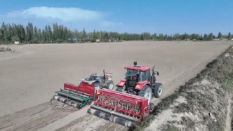 田野葱茏麦苗香！新疆轮台县8万多亩冬麦播种忙