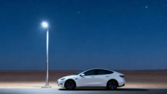 被嫌棄的順風(fēng)車的一生