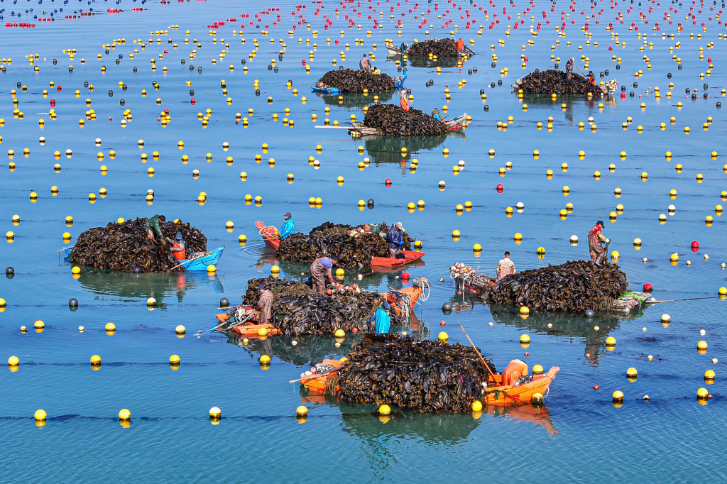 去年全国海洋生产总值达10.5万亿元，海洋经济圈持续扩能