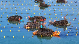 去年全國海洋生產總值達10.5萬億元，海洋經濟圈持續擴能