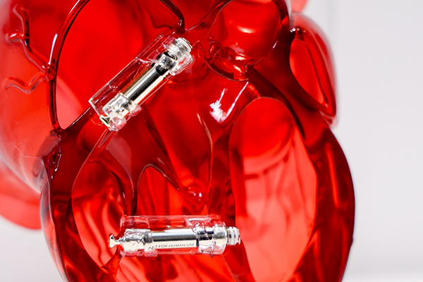 AI助听器、全球首发创新药……这些进博会好物提前剧透