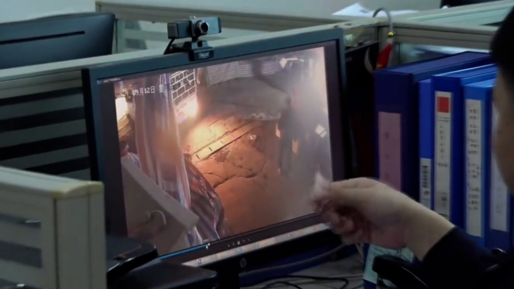 因鄰里矛盾，男子伙同他人盜竊鄰居家羊群