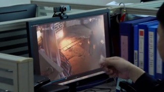 因鄰里矛盾，男子伙同他人盜竊鄰居家羊群