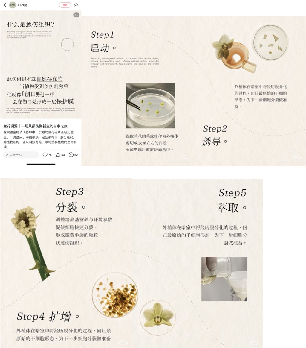 产品被指备案与宣传不符：护肤品牌“LAN”称备案合规，监管部门正核查