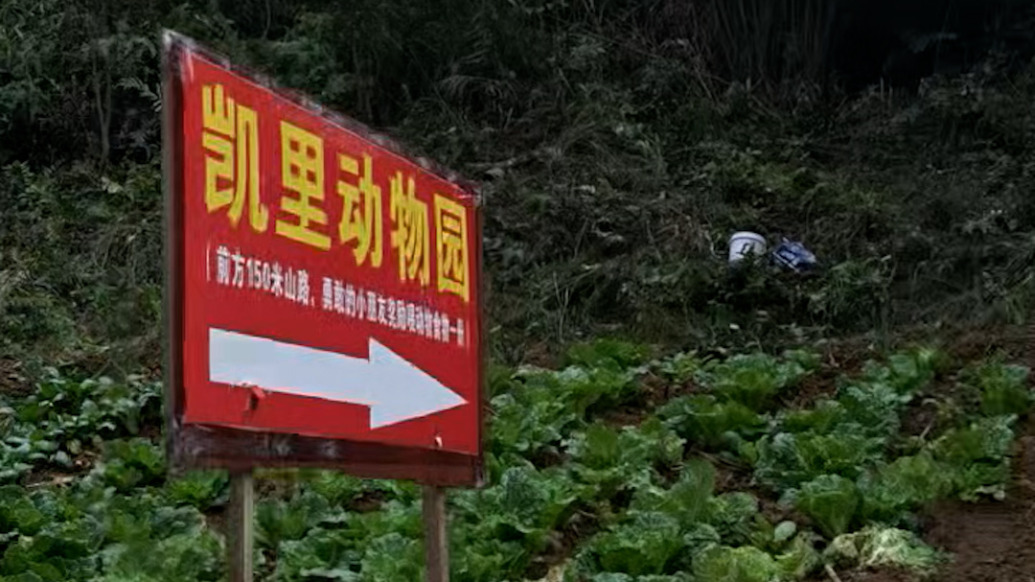 探訪“貴州藏在深山里的動物園”，園長：有人氣了，動物也高興