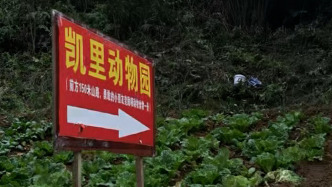 探訪“貴州藏在深山里的動物園”，園長：有人氣了，動物也高興