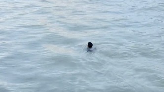 上海外灘游客落水，黃浦江畔上演“閃電救援”