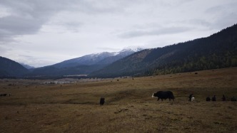 美景不輸阿爾卑斯的西藏旅游如何發(fā)展？這場論壇上嘉賓支招