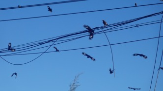 這座南海小鎮(zhèn)，如何與臺(tái)風(fēng)共存