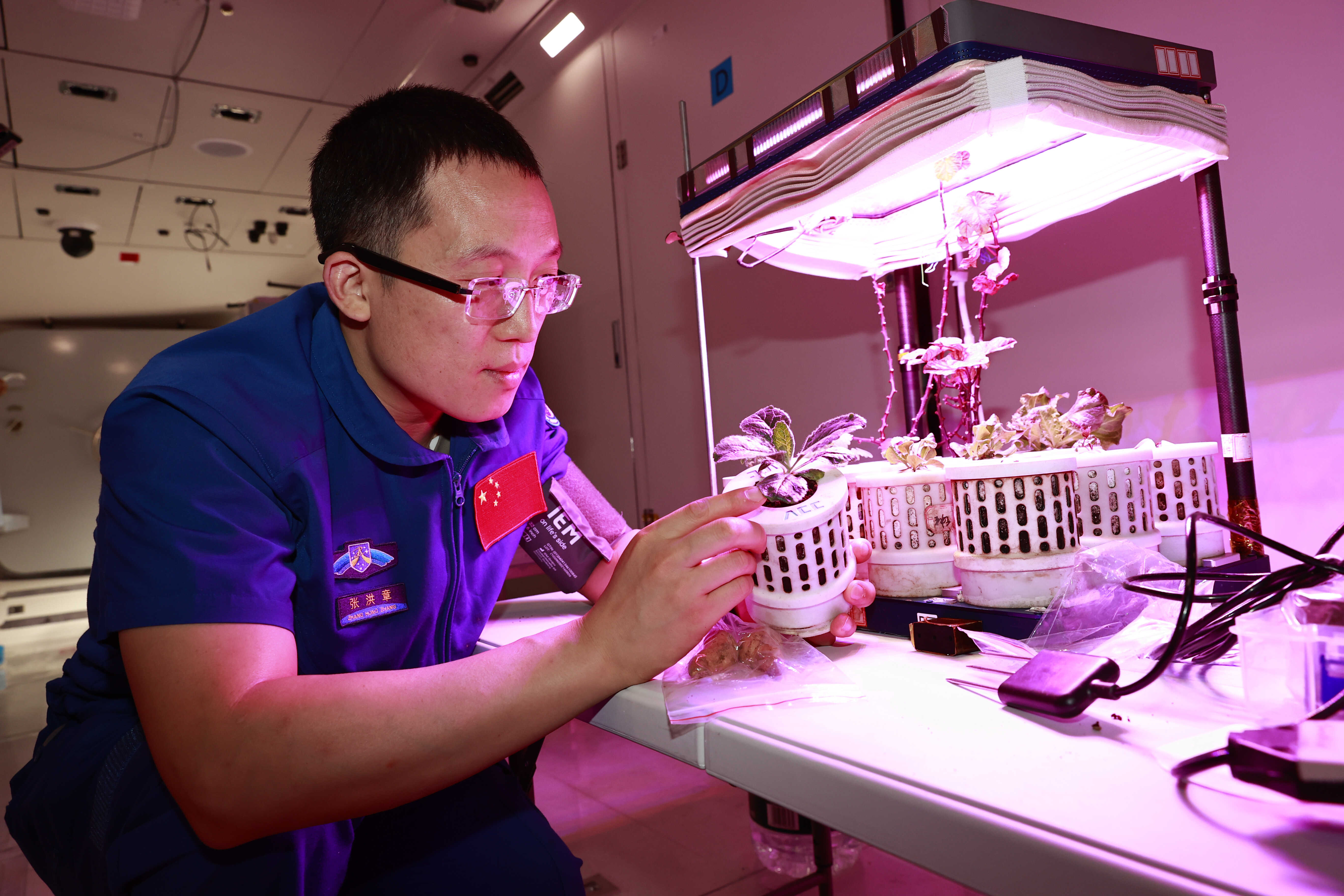 国内首位电池专家进入太空,研究方向关乎神舟飞船核心动力心脏揭秘