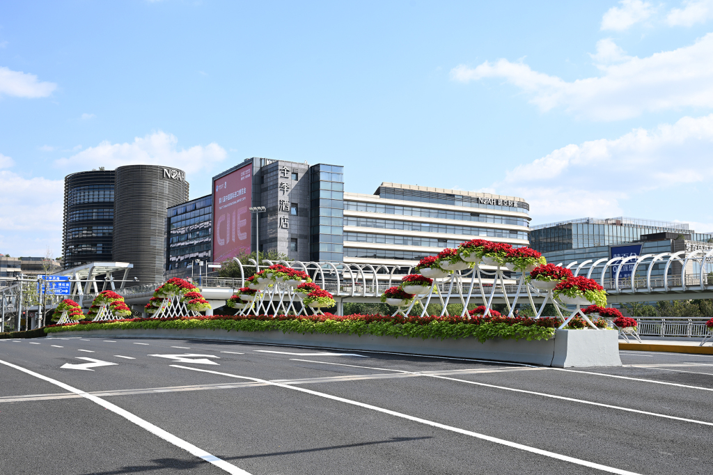 进博会开幕在即，申城花意盎然迎宾客