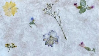 奔流日記｜珍·古道爾、BigChing·阿羅姆與湖山