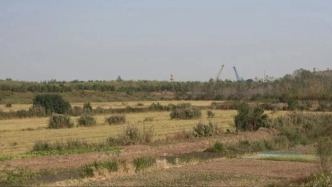 光影 | 一個村莊正在收割稻子