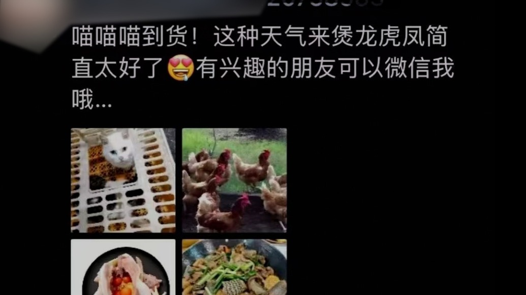 私廚被曝宰殺活貓做“龍虎鳳”?市監(jiān)局:轉(zhuǎn)交職能部門調(diào)查