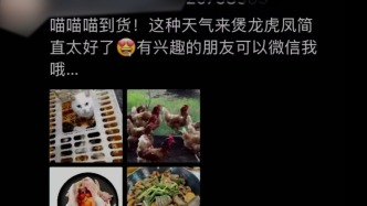 私廚被曝宰殺活貓做“龍虎鳳”？市監(jiān)局：轉(zhuǎn)交職能部門調(diào)查