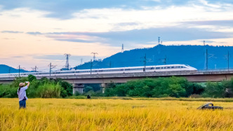 李強主持召開國常會，研究深化重點領域改革擴大制度型開放工作