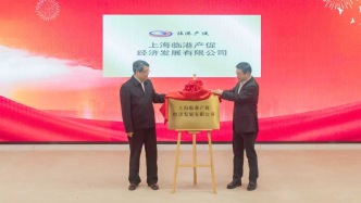 強化專業(yè)化市場化招商力量！臨港集團成立專業(yè)招商平臺