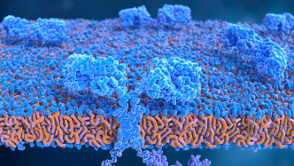 從“體外改造”到“體內(nèi)生成”，CAR-T療法將如何變革？