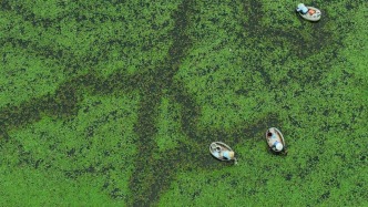 浙粵尋鮮，風(fēng)味的流轉(zhuǎn)