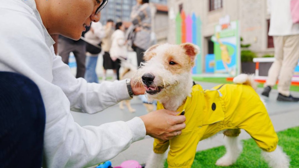屬于“毛孩子”的運動會！蘇河灣犬運會靜安開幕