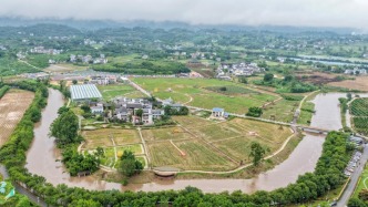 前三季度農(nóng)村居民人均可支配收入同比實際增長6%