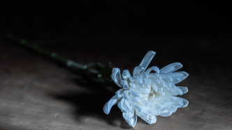 青年思政教師王猛因病去世，獨(dú)創(chuàng)的“相聲課堂”深受學(xué)生喜愛