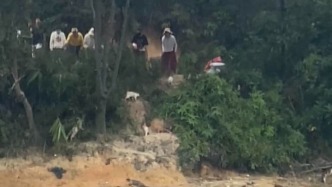 廣東一水庫旁疑多人放生貓只，官方通報