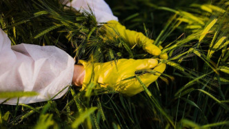 間諜在我國搜集農作物基因數(shù)據(jù)！國安部：斬斷田間竊密黑手