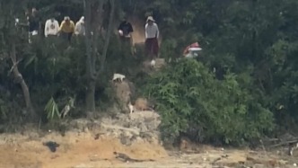 馬上評｜水庫放生貓，這哪里是“善”