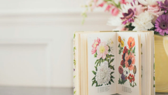 影片制作合同中約定工作為“包活性質(zhì)”，“包活性質(zhì)”應(yīng)作何解？