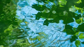 七言｜不可冒犯的人，很迷人