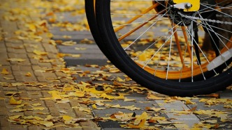 夜讀｜想要從從容容，卻常匆匆忙忙