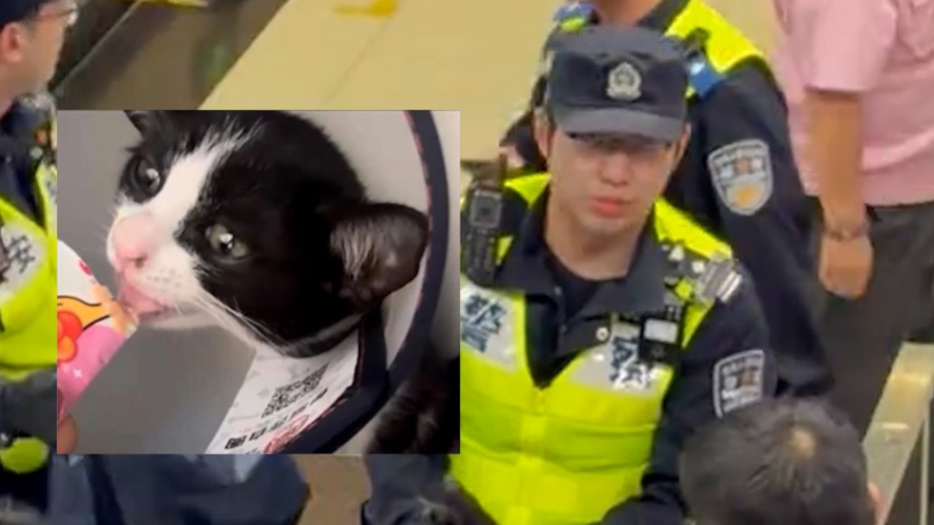 “黑貓警長”被困地鐵電梯,人類警長出手化險為夷