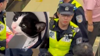 “黑貓警長”被困地鐵電梯，人類警長出手化險為夷