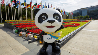 進(jìn)博直擊｜“四葉草”綻放新顏，展會(huì)在開放合作下注入新動(dòng)力