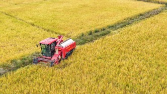 全國秋糧收獲過九成，冬小麥播種過兩成半