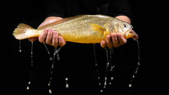 高子華︱西北風(fēng)起,黃魚鲞香