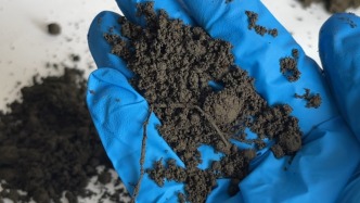 江蘇思威博回應(yīng)產(chǎn)品涉“毒營(yíng)養(yǎng)土”：涉事人員和產(chǎn)品系冒充