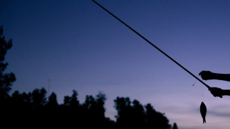 湖南一男子夜釣時遭槍擊頭部：嫌疑人已歸案，疑被誤認作獵物