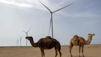 釋新聞｜想拿諾獎的特朗普為何又盯上了這兩國？