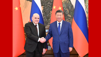 詳訊丨習(xí)近平會(huì)見(jiàn)俄羅斯總理米舒斯京