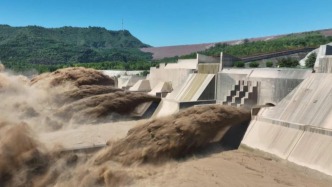 黃河調(diào)水調(diào)沙理論與實踐等5個項目入選生態(tài)文明領(lǐng)域重大科技成果