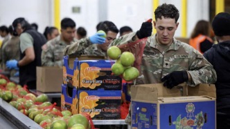 美國食品券項目60年來首次停發，政府動用46億美元應急資金救急