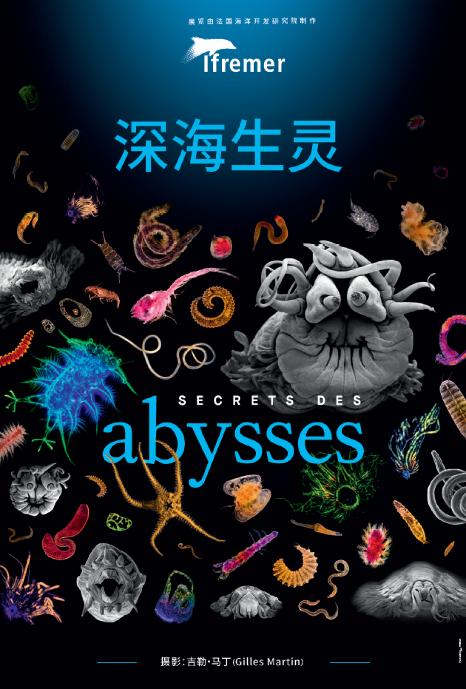 “中法环境月”在沪启幕，聚焦海洋生态保护