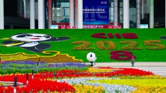 視頻丨圍繞消費生活新趨勢導入新平臺，第八屆進博會完成布展