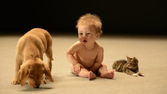 不可得的人性：對阿甘本《人的聲音》的注解