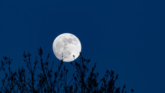 本年度最大满月今晚亮相，全国超级月亮观赏地图看哪里皓月当空
