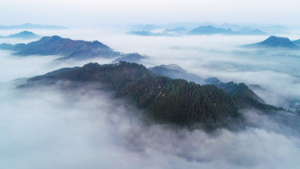 浙江两大国家级自然保护区接连发布禁令，对非法穿越说“不”