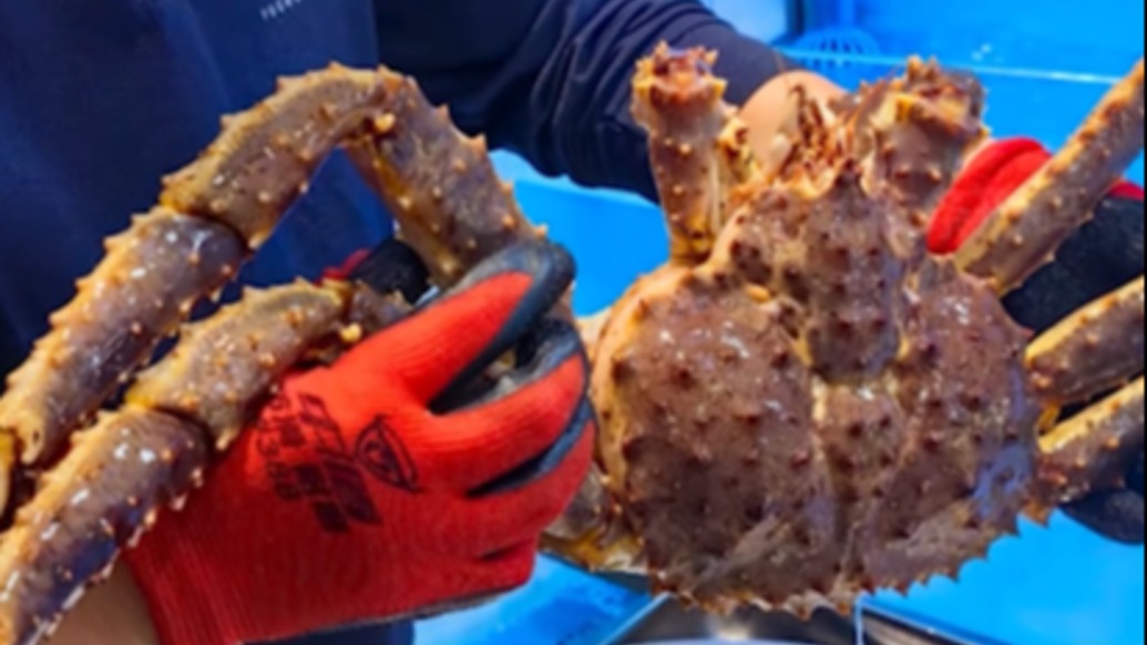 微言大義|一次將公共討論引向制度改進的契機戛然而止